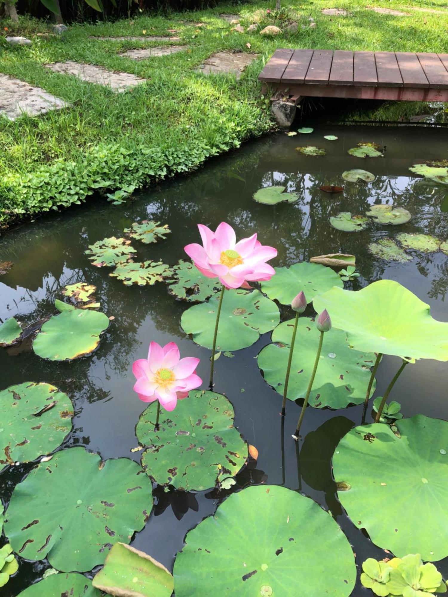 Pura Vida Pai Resort Dış mekan fotoğraf