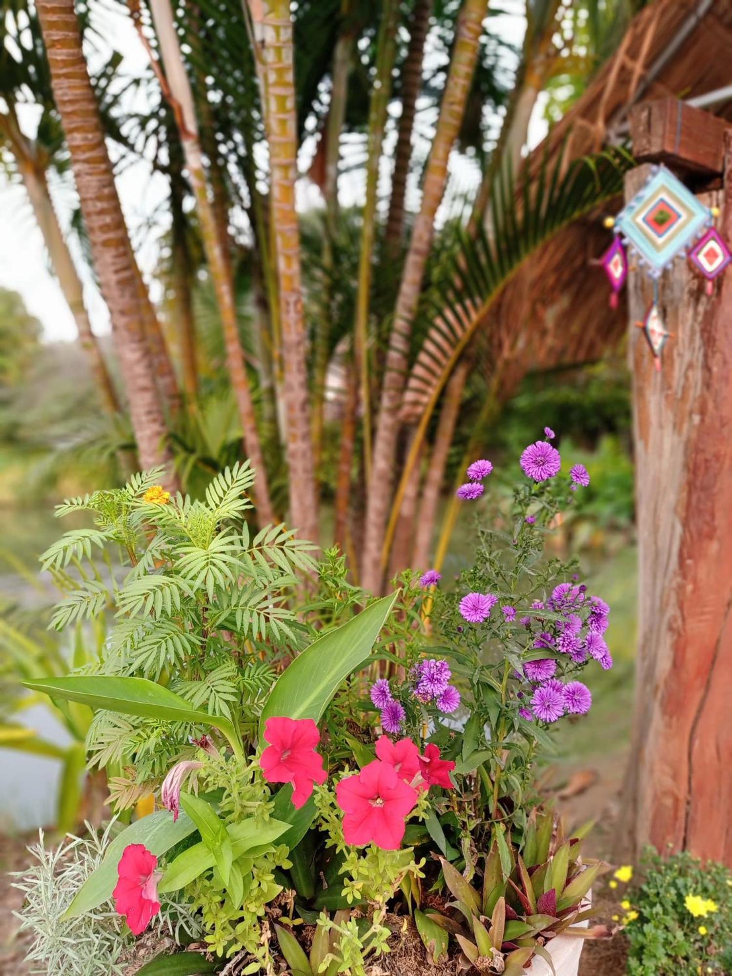 Pura Vida Pai Resort Dış mekan fotoğraf