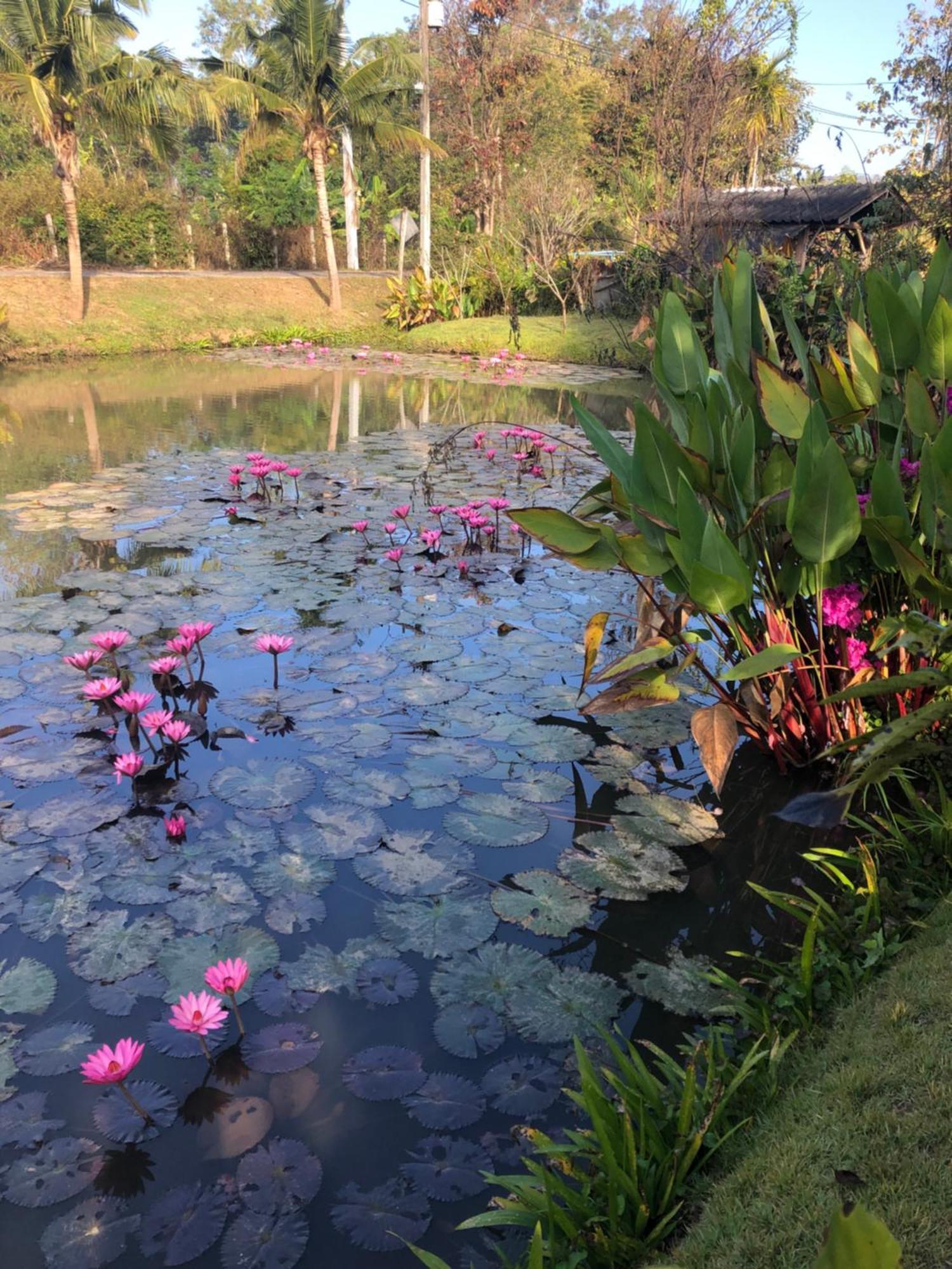 Pura Vida Pai Resort Dış mekan fotoğraf