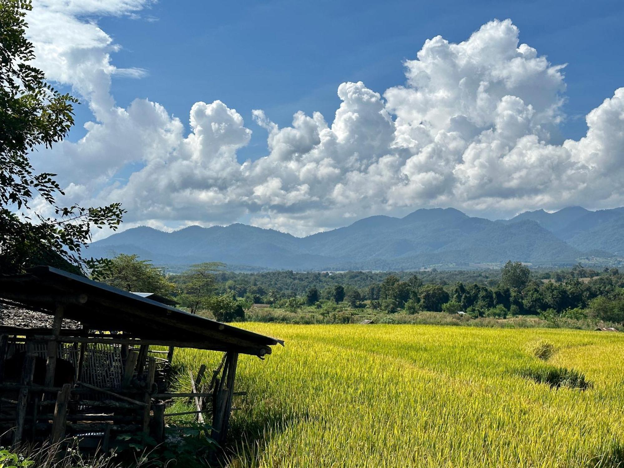 Pura Vida Pai Resort Dış mekan fotoğraf